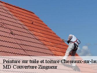 Peinture sur tuile et toiture