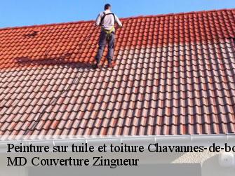 Peinture sur tuile et toiture  1279