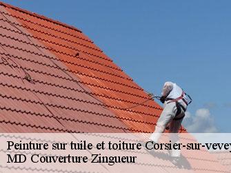 Peinture sur tuile et toiture
