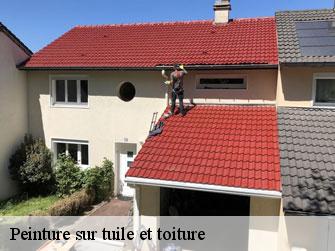 Peinture sur tuile et toiture  1242