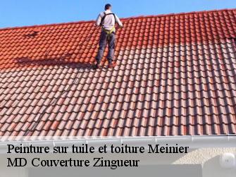 Peinture sur tuile et toiture  1252