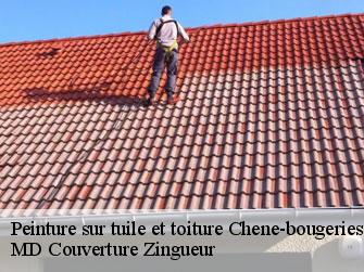 Peinture sur tuile et toiture 1224