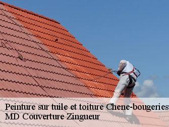 Peinture sur tuile et toiture