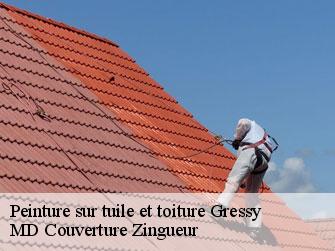 Peinture sur tuile et toiture