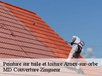 Peinture sur tuile et toiture