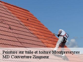 Peinture sur tuile et toiture