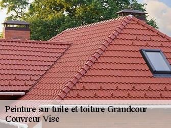 Peinture sur tuile et toiture  grandcour-1543 Couvreur Vise