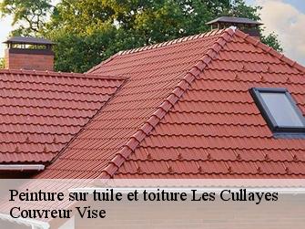 Peinture sur tuile et toiture  les-cullayes-1080 Couvreur Vise