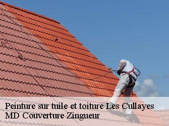 Peinture sur tuile et toiture