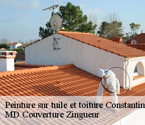 Peinture sur tuile et toiture  constantine-1587 MD Couverture Zingueur