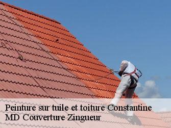 Peinture sur tuile et toiture