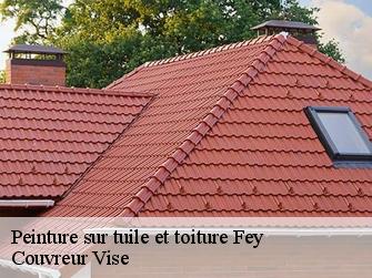 Peinture sur tuile et toiture fey-1996 Couvreur Vise