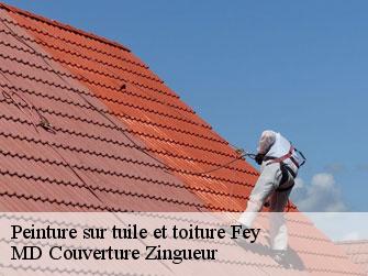 Peinture sur tuile et toiture