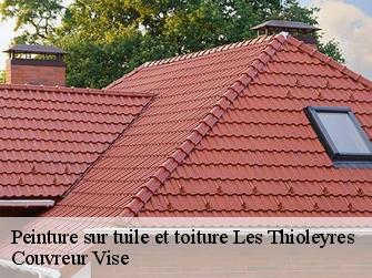 Peinture sur tuile et toiture  les-thioleyres-1607 Couvreur Vise