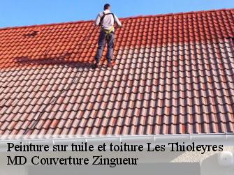 Peinture sur tuile et toiture  1607