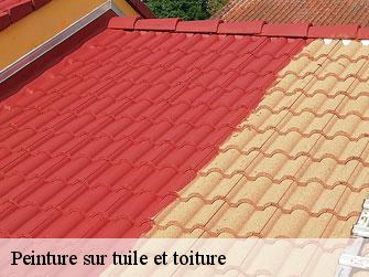 Peinture sur tuile et toiture