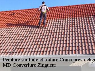 Peinture sur tuile et toiture  1299