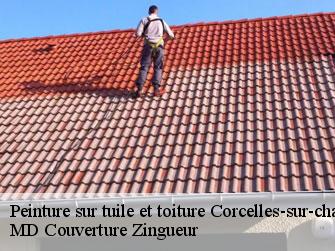 Peinture sur tuile et toiture 1374