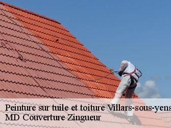 Peinture sur tuile et toiture