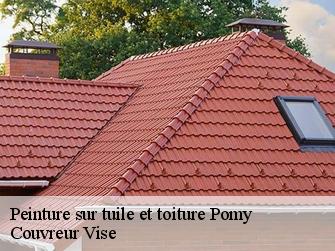 Peinture sur tuile et toiture pomy-1405 Couvreur Vise