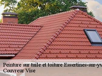Peinture sur tuile et toiture  essertines-sur-yverdon-1417 Couvreur Vise