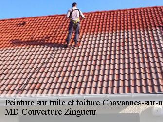 Peinture sur tuile et toiture  1512