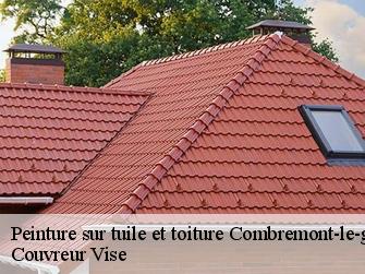 Peinture sur tuile et toiture  combremont-le-grand-1535 Couvreur Vise