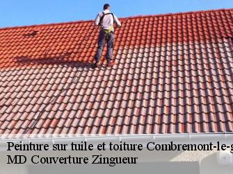 Peinture sur tuile et toiture  1535