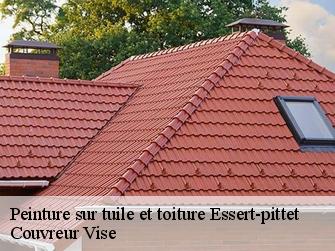 Peinture sur tuile et toiture essert-pittet-1435 Couvreur Vise