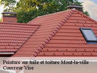 Peinture sur tuile et toiture  mont-la-ville-1148 Couvreur Vise