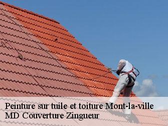 Peinture sur tuile et toiture