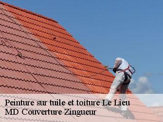 Peinture sur tuile et toiture