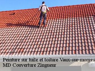 Peinture sur tuile et toiture  1126