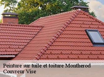 Peinture sur tuile et toiture  montherod-1174 Couvreur Vise