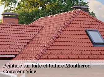 Peinture sur tuile et toiture montherod-1174 Couvreur Vise