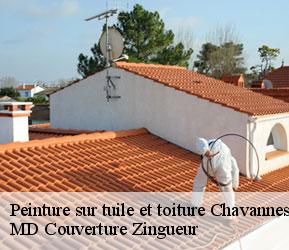 Peinture sur tuile et toiture  chavannes-des-bois-1290 MD Couverture Zingueur