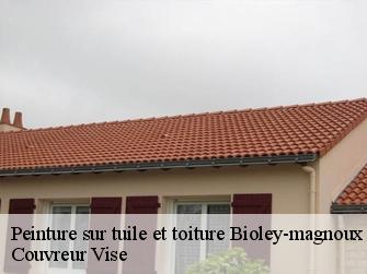 Peinture sur tuile et toiture 1407