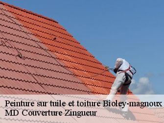 Peinture sur tuile et toiture