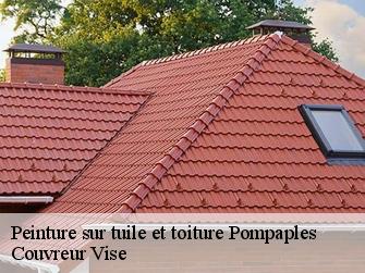 Peinture sur tuile et toiture pompaples-1318 Couvreur Vise