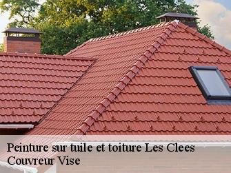 Peinture sur tuile et toiture  les-clees-1356 Couvreur Vise