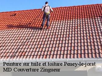 Peinture sur tuile et toiture  1059