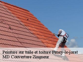 Peinture sur tuile et toiture