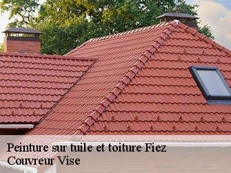 Peinture sur tuile et toiture fiez-1420 Couvreur Vise