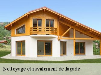 Nettoyage et ravalement de façade  1358