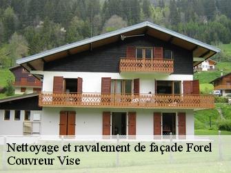 Nettoyage et ravalement de façade  forel-1072 Couvreur Vise