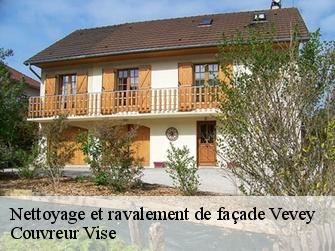 Nettoyage et ravalement de façade 1800