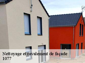 Nettoyage et ravalement de façade  1077