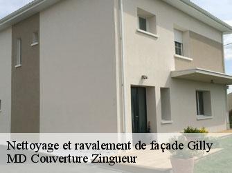 Nettoyage et ravalement de façade