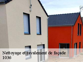 Nettoyage et ravalement de façade  1036