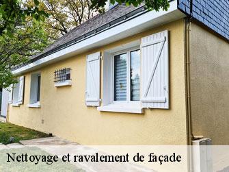 Nettoyage et ravalement de façade  1555